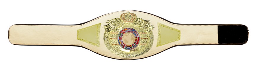 *NEW* PROICON CHAMPIONSHIP BELT/G/WHTGEM - AVAILABLE IN 6+ COLOURS